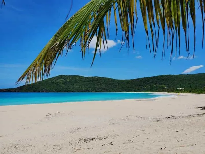 Culebra: full-day independent excursion with transport from San Juan