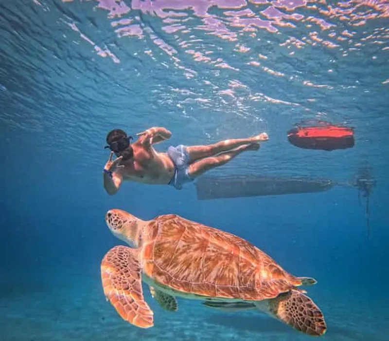 Curaçao: Playa Piskado Seabob Adventure (Sea Turtles)