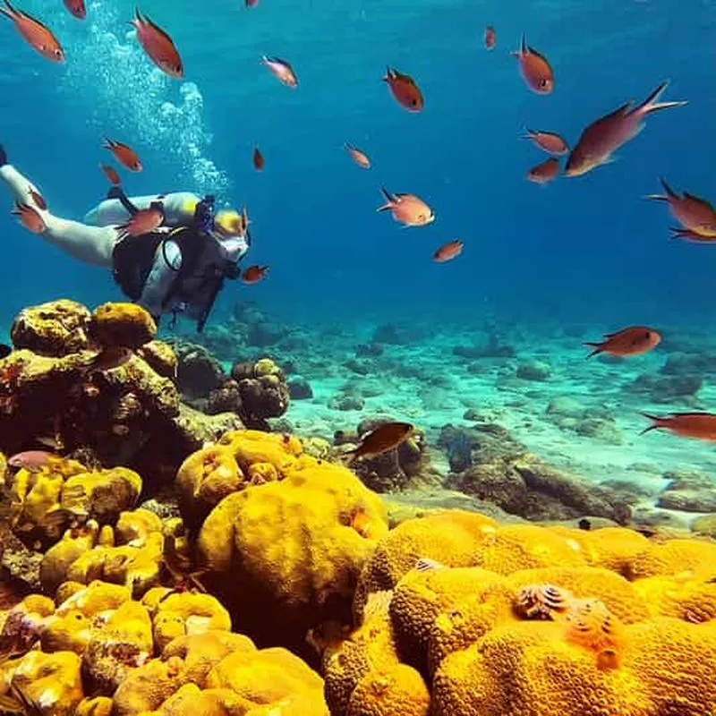 Curaçao: Private Scuba Diving Experience for Beginners. - experience in Curaçao