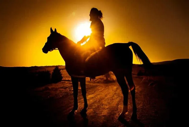 Discover the enchanting allure of Macao beach and forest on a fascinating sunset horseback ride - experience in Punta Cana, Dominican Republic
