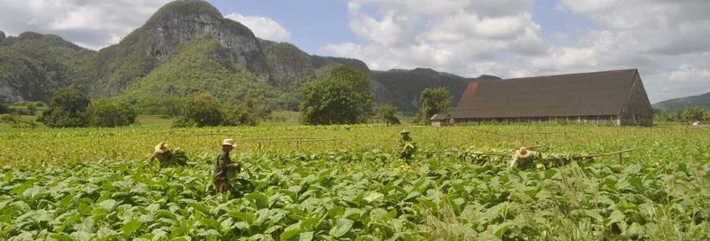 Excursion to the Viñales caves