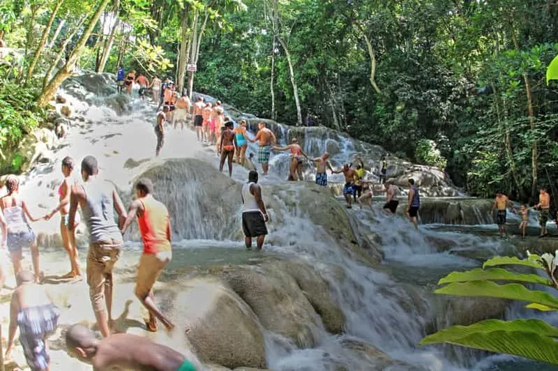 From Montego Bay: Dunn's River Falls Experience