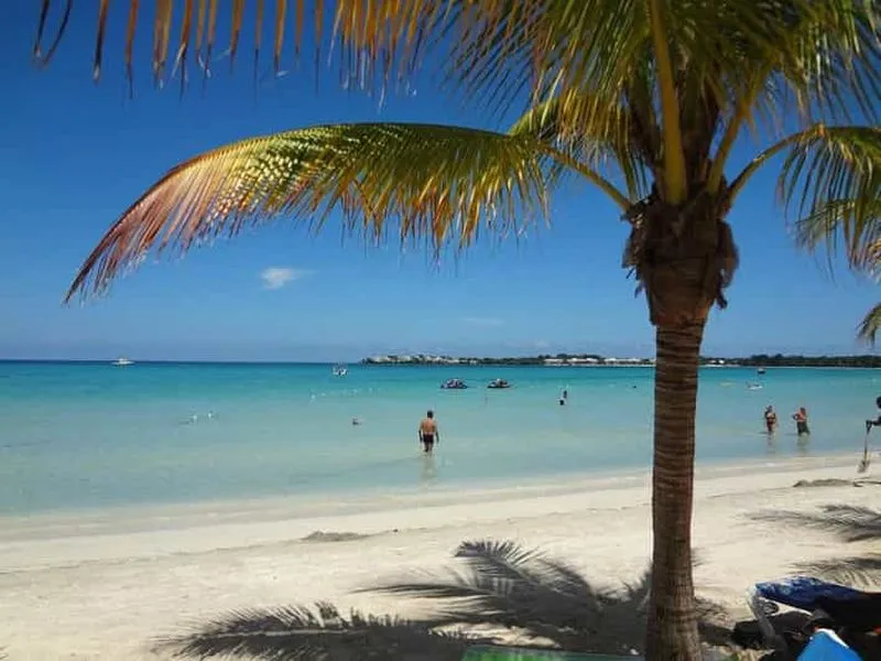 From Montego Bay: Private Transfer from MBJ Airport to Negril