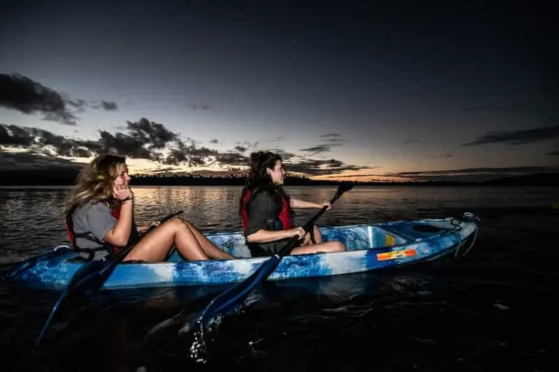 From San Juan: Nighttime Adventure in the Bioluminescent Bay - experience in Puerto Rico