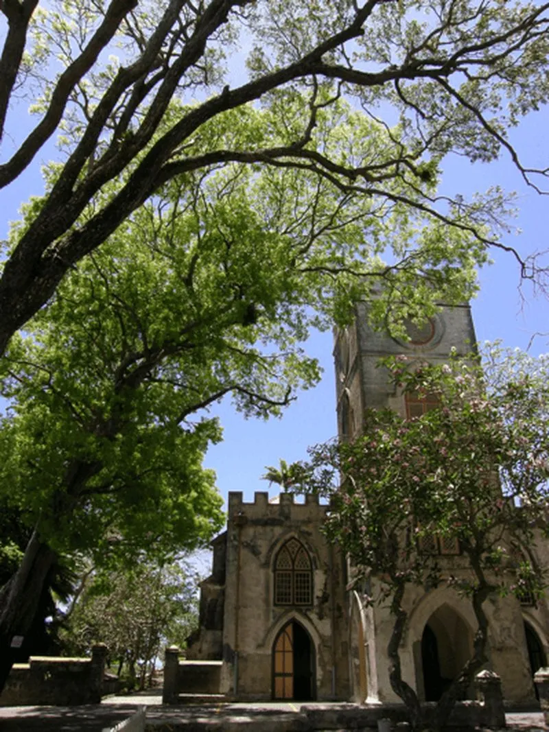 Full-day Excursion to Barbados Paradise