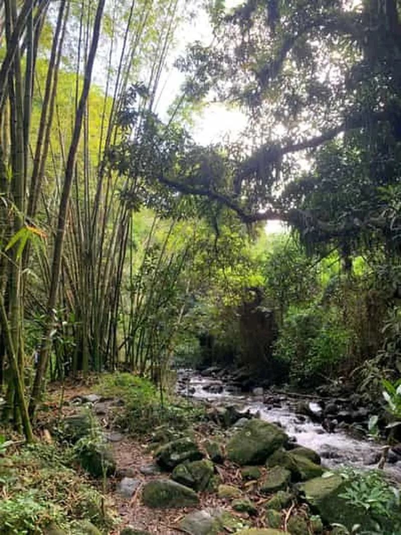 Glide into adventure: hiking and natural water slides