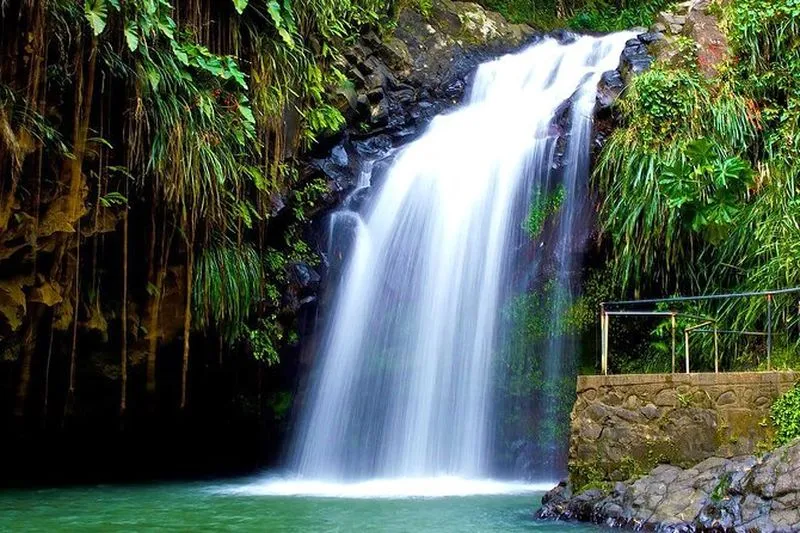 Grenada Natural Attractions Tour from St. George's - experience in Grenada