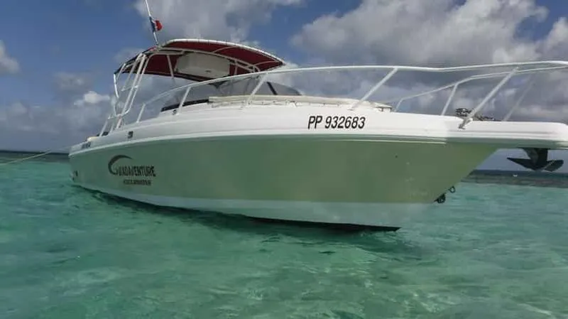 Guadeloupe: Excursion in the Grand Cul de Sac Marin and the Mangrove