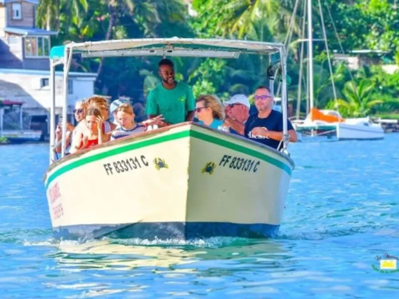 Guided mangrove tour from Trois-Ilets