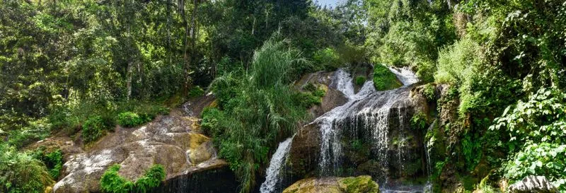 Horseback riding excursion through El Cubano Park