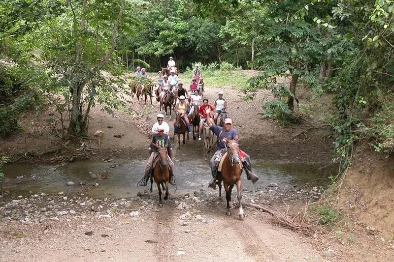 Horseback Riding in Bayahibe - experience in La Romana, Dominican Republic