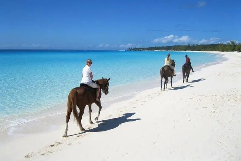 Horseback Riding on Macao Beach from Punta Cana - experience in Punta Cana, Dominican Republic