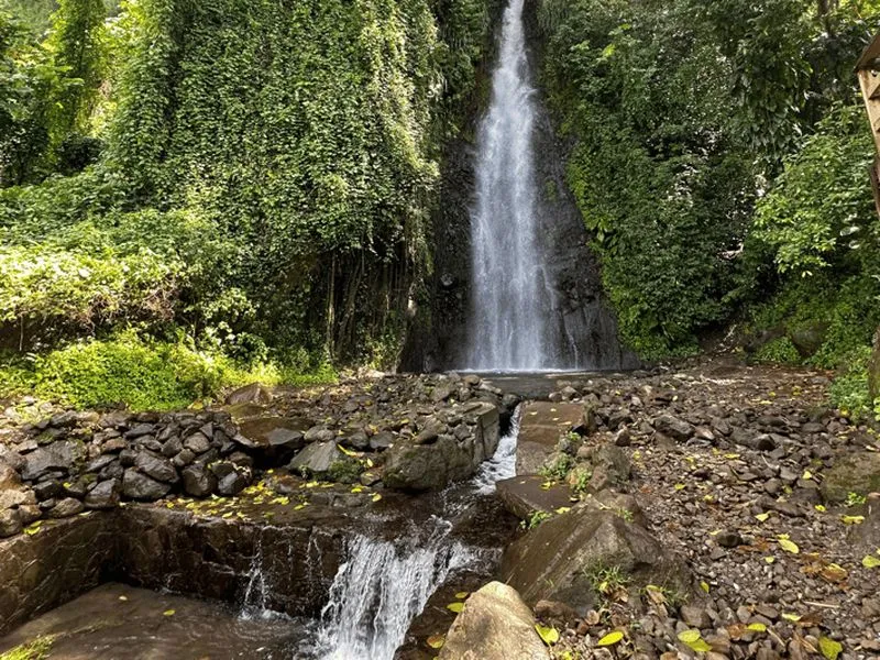 Kingstown: Dark View Falls and Beach Tour - experience in Saint Vincent and the Grenadines