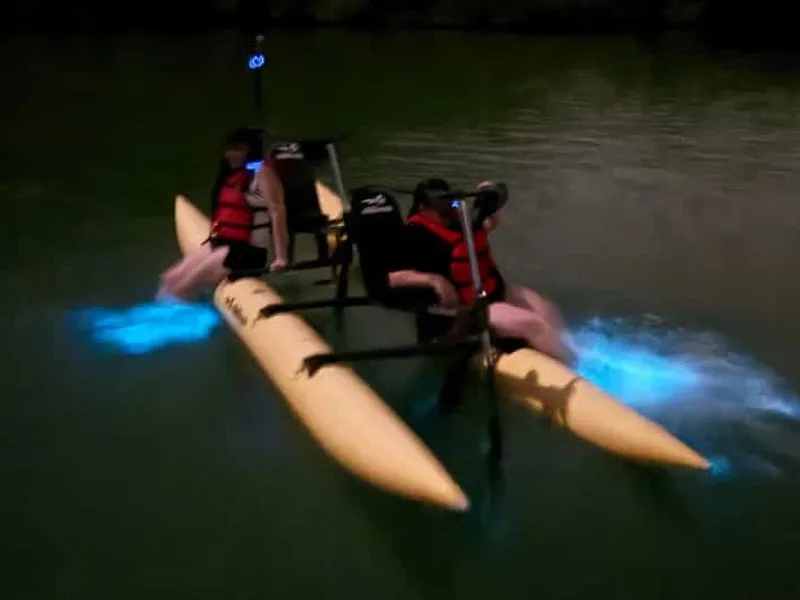 La Parguera: Bioluminescent Bay Tour – Water Bike Chiliboats - experience in Puerto Rico