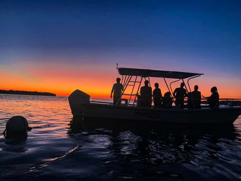 La Parguera: Sunset and Biobay or Night Biobay Cruise - experience in Puerto Rico