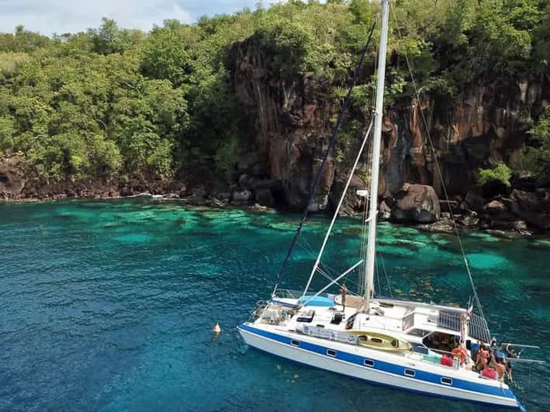Les Anses-d'Arlet: Catamaran excursion with turtle watching
