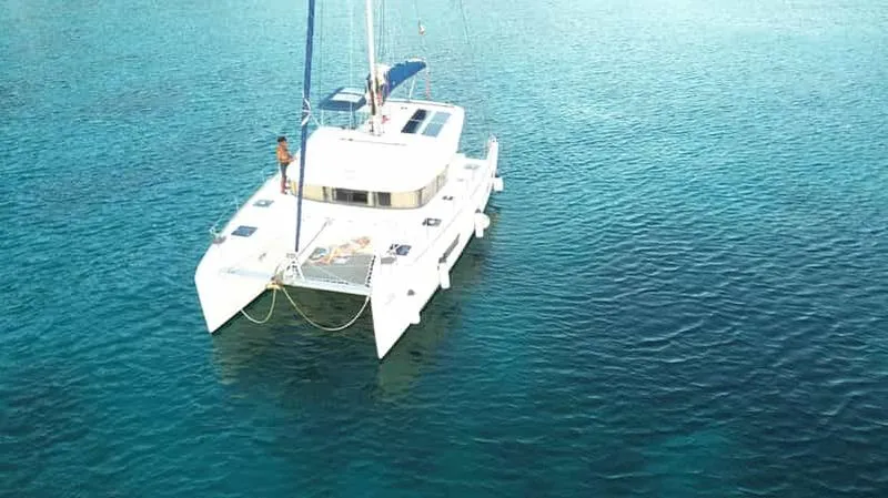 Martinique: Dolphin and Turtle Watching Catamaran Day Tour - experience in Fort-de-France, France