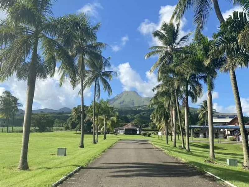 Martinique: Guided tour of the lush north of Martinique