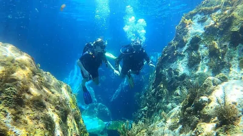 Martinique: introductory scuba dive