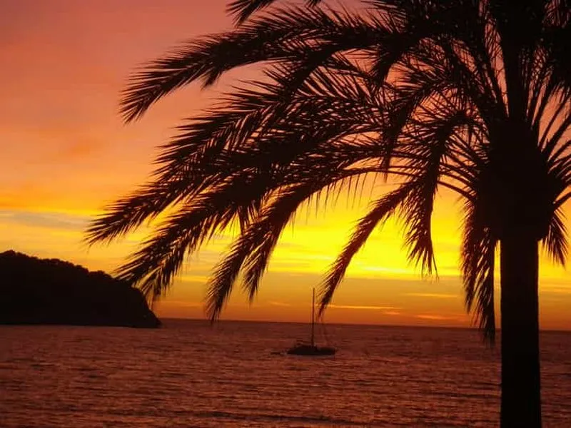 Martinique: Night Snorkeling – Experience the Magic of the Reefs and Stars