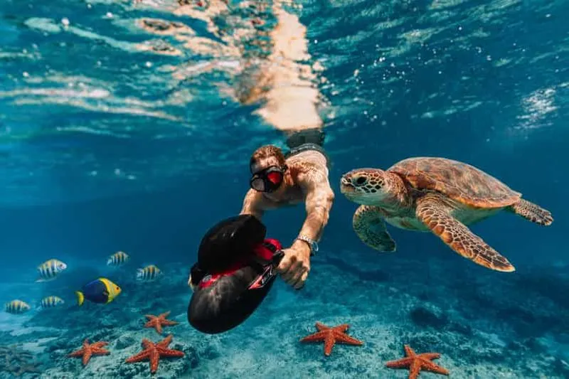 Martinique: Swimming with turtles on an electric underwater scooter
