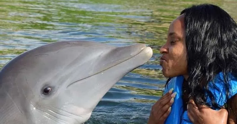 Montego Bay: Swim with Dolphins in Lucea