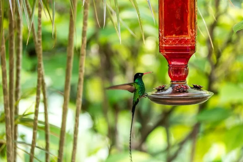 Mystic Mountain Adventure Passport