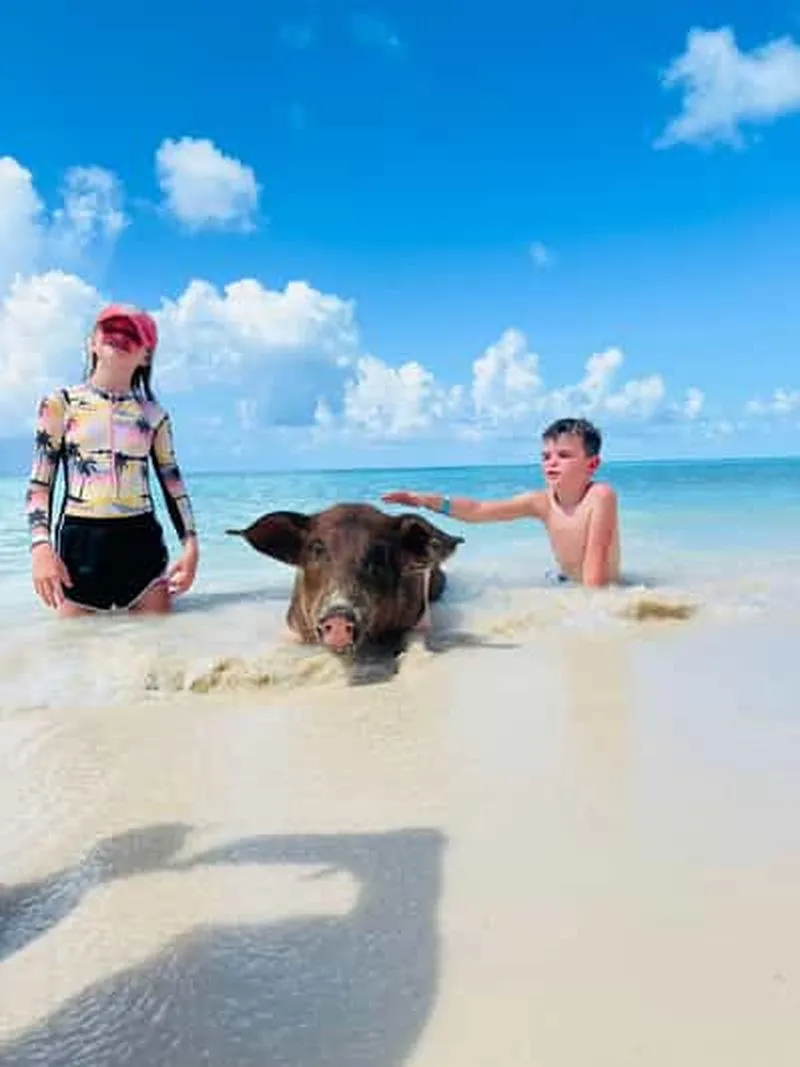 Nassau: Swim with Pigs, Snorkeling and Beach Club