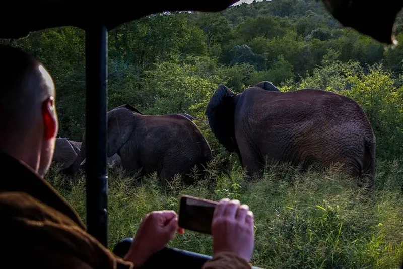 Night Jeep Tour in iSimangaliso Wetland Park - experience in St. Lucia