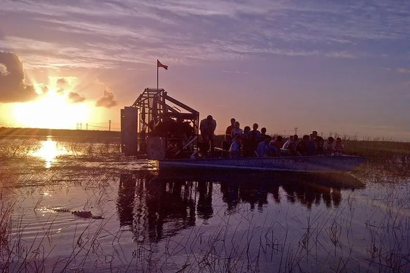 Nighttime Airboat Tour in the Everglades from Fort Lauderdale