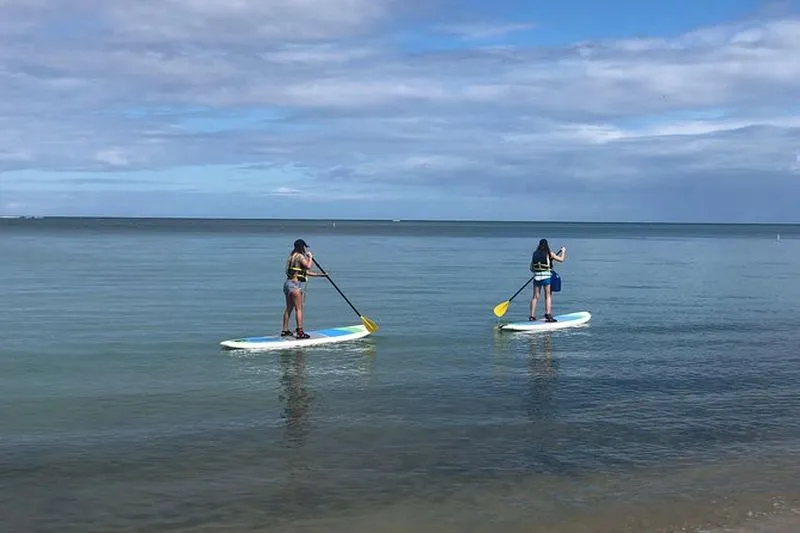 Paddle surf rental in Fajardo - experience in Puerto Rico