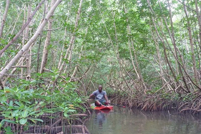 Paddle Surfing Tour in Guadeloupe