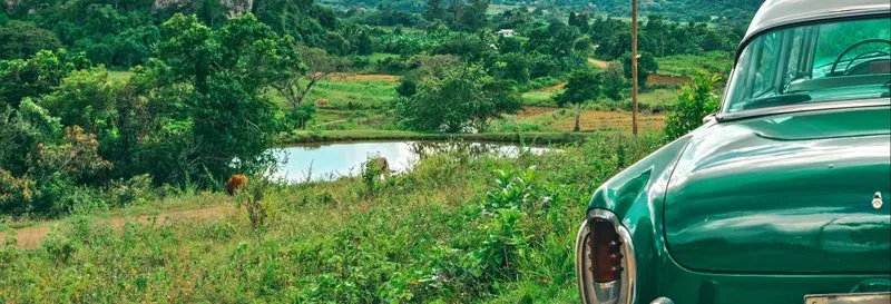 Private excursion in the Viñales Valley by vintage car