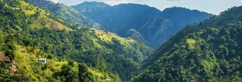 Private Excursion to the Blue Mountains