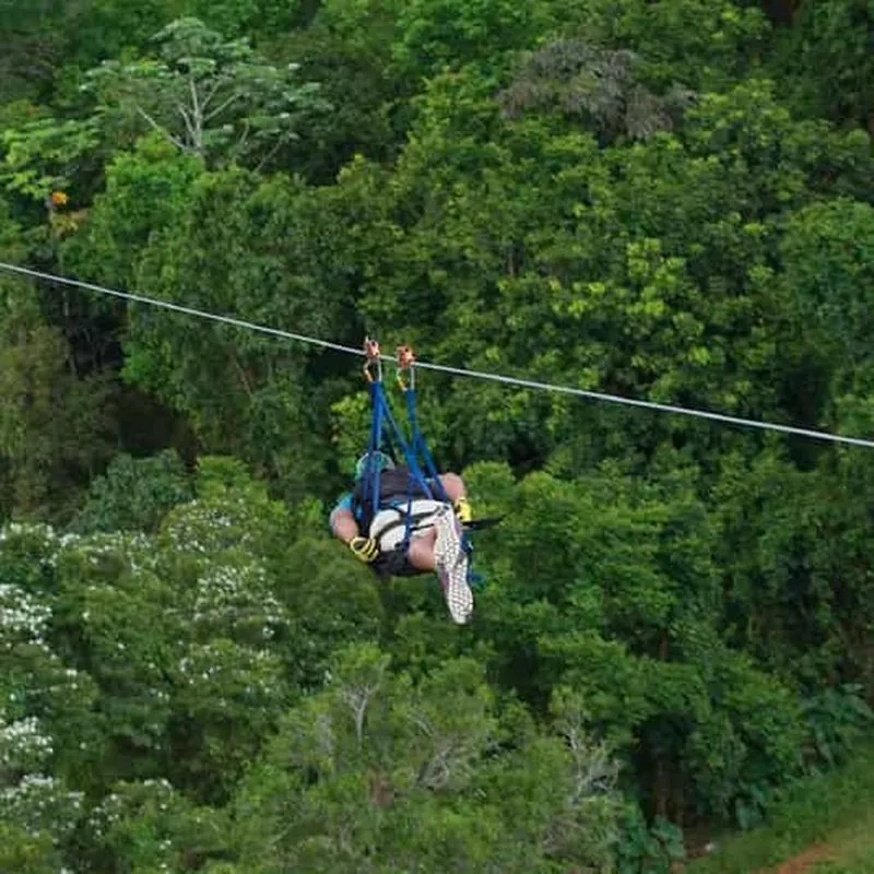 Puerto Rico: Toro Verde Adventure Park - The Monster Zipline - experience in Puerto Rico