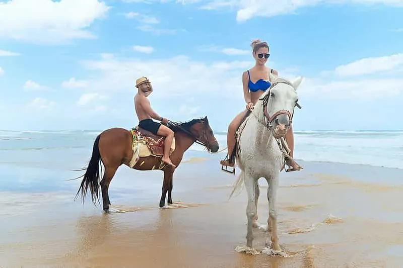 Punta Cana: Horseback Riding Excursion on Macao Beach and in the Forest - experience in Punta Cana, Dominican Republic