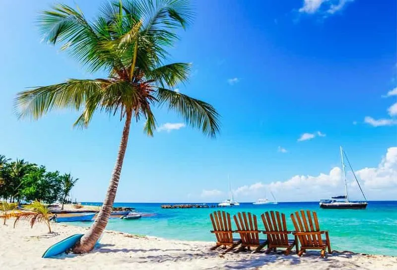 Punta Cana: Saona Island Catamaran Cruise with Buffet Lunch - experience in Punta Cana, Dominican Republic