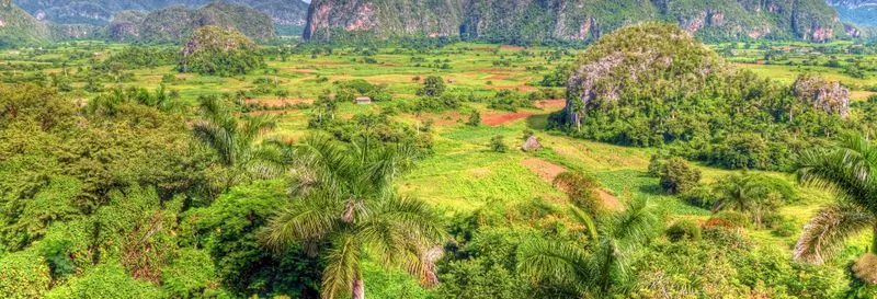 Randonnée dans la Sierra del Infierno au lever du soleil - experience in Cuba