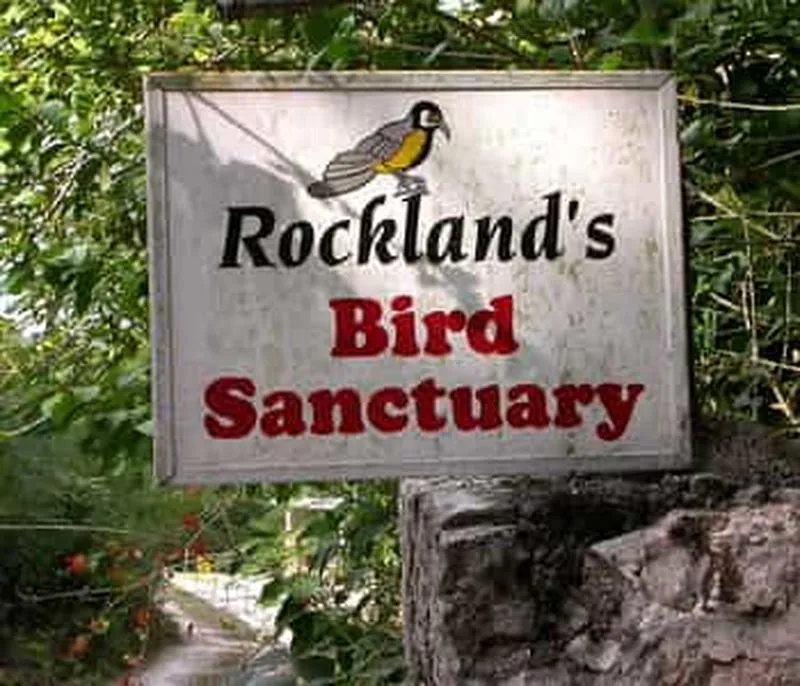 Rocklands Bird Sanctuary: 2-Hour Round Trip Transfer from Montego Bay