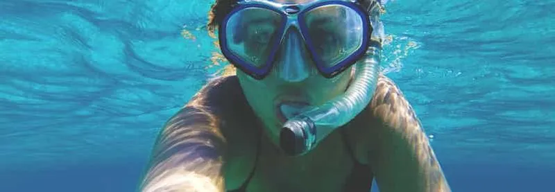 Roseau: Boat Excursion for Snorkeling on the Waitukubuli Volcano - experience in Roseau, Dominica