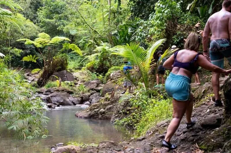 Saint Lucia: Rainforest Hike and Waterfall Safari - experience in Castries, St. Lucia