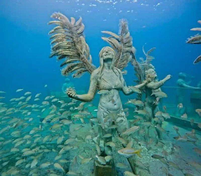Saint Martin: Underwater Sculpture Park Snorkeling Adventure - experience in Sint Maarten (Dutch side)