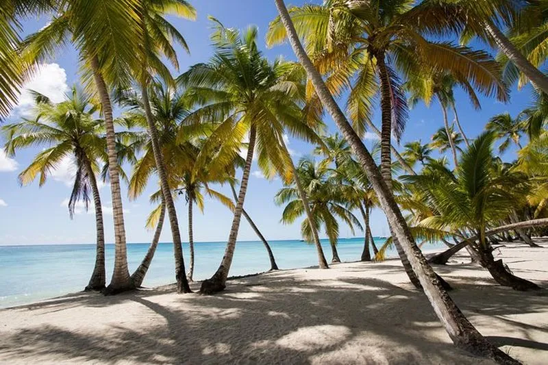 Saona Island Excursion from Punta Cana