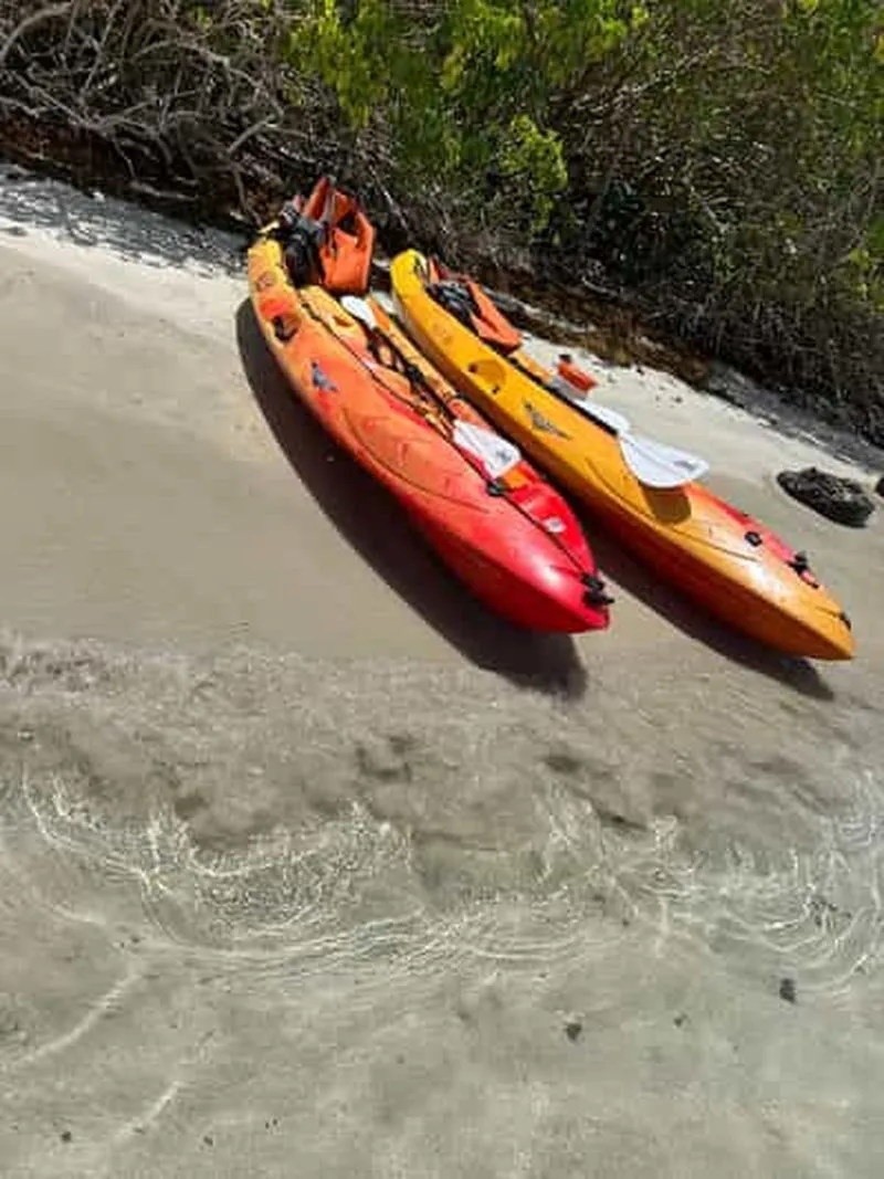 Self-guided kayak excursion at Le Robert: Îlet Chancel, iguanas and fonds blancs