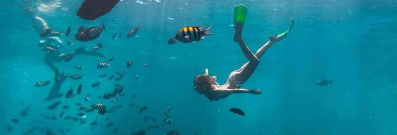 Snorkeling in Havana - experience in Havana, Cuba