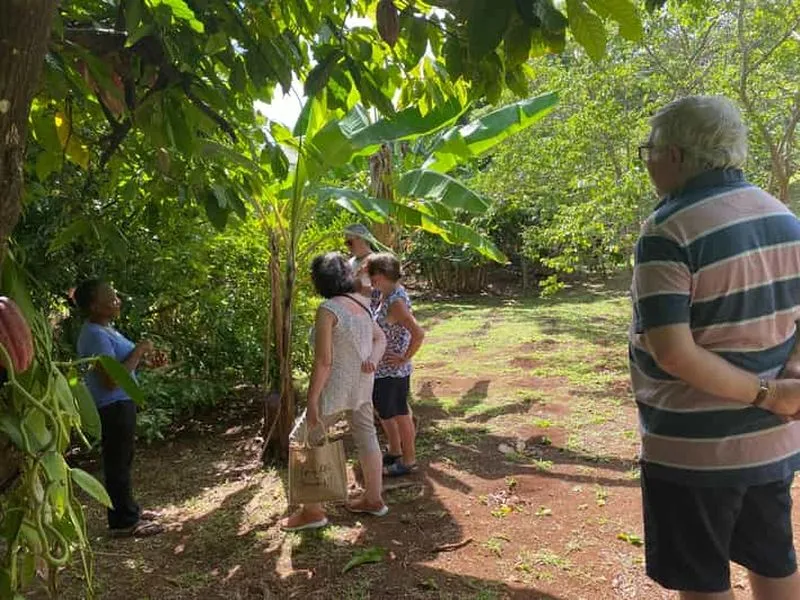 St. George's: Half-Day Spice and Waterfall Tour