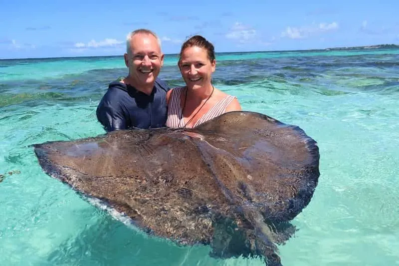 St. John's; Laviscount Island and Stingray Swim Combo
