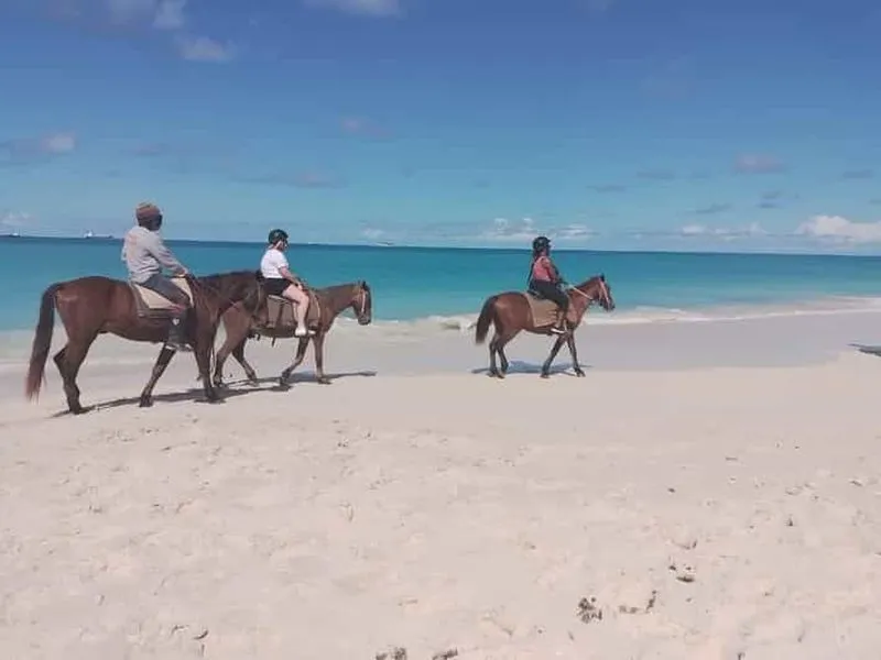 St. Johns: Horseback riding, swimming, and Fort James Beach - experience in Saint John's, Antigua and Barbuda