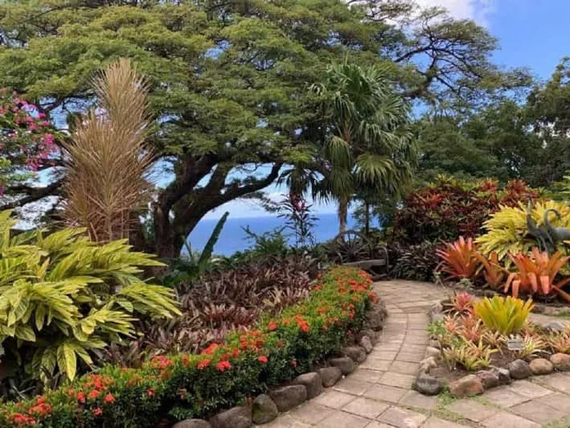 The Best of St. Kitts