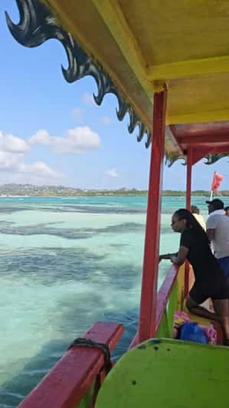 Tobago: Buccoo Reef and Nylon Pool - Glass Bottom Boat Tour